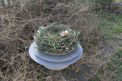 Naturkranz echter frischer Kranz 25 cm haltbar Weide Zweige Türkranz Tischkranz