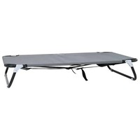 Hundebett 105X65X18 Cm Hellgrau Stahlgestell FüR GroßE Hunde