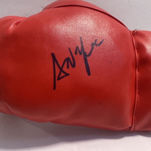Ann Wolfe Hall Of Fame HOF Signed Autographed Auto Boxing Glove BG31 - Picture 8 of 12