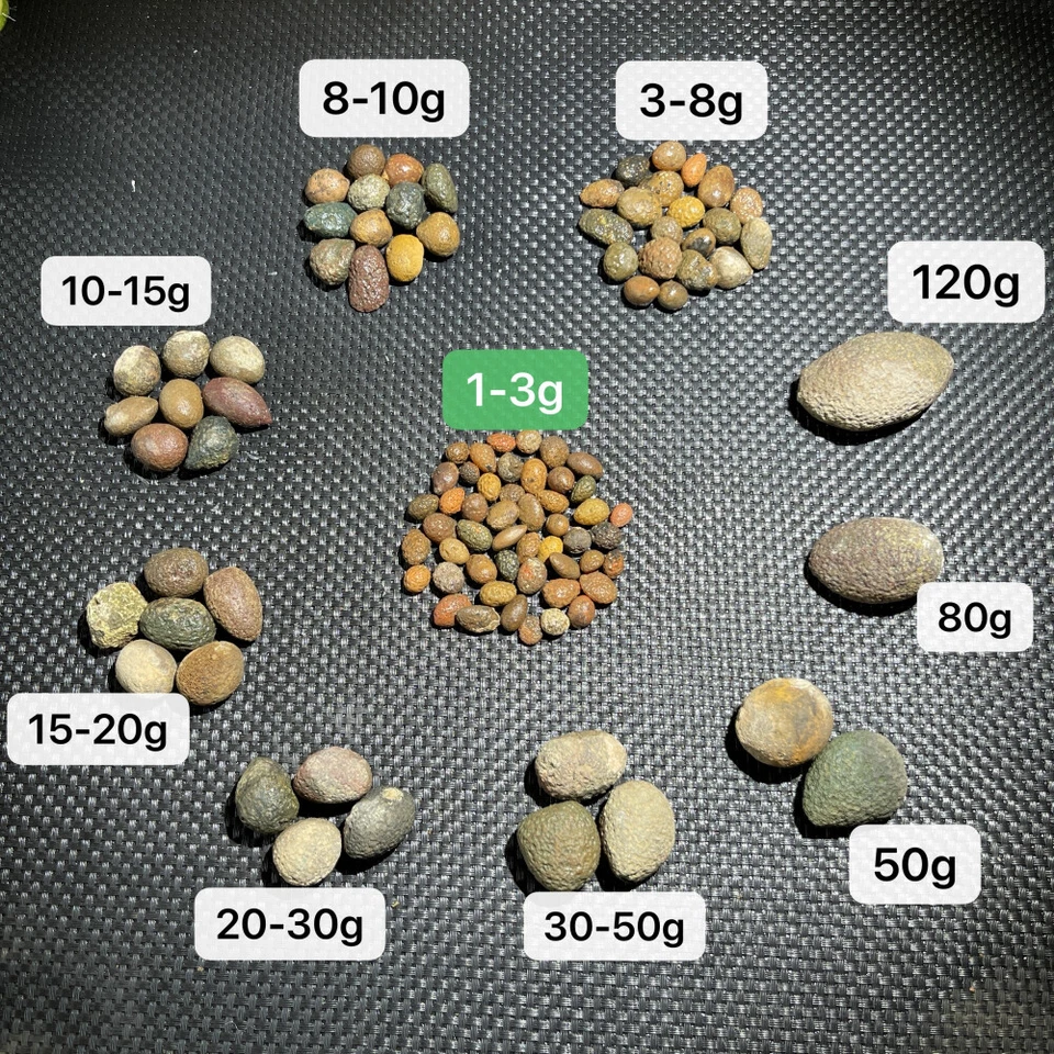 natural rough Uncut China Agate Achat Nodule crystal Specimen cave thunder egg A - Image 2 of 4