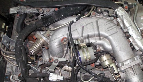 41. AGR Dichtung für 3.0 V6 Opel CDTI Renault dCi Saab TiD - Bild 2 von 3