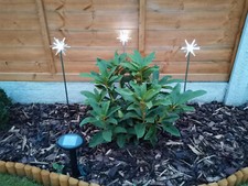 Garden Solar Star Light with 3 LED, BUY 1 GET 1 FREE!!! FINAL SALE!!!