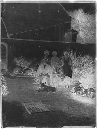 Plaque verre photo ancienne négatif noir et blanc 9x12 cm famille chiens France - Photo 2 sur 2