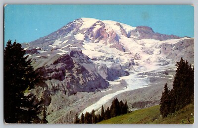 Postcard - Mount Rainier From Glacier Vista
