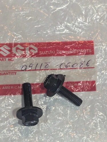 BOLT, TRIP METER (6X25)