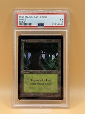 Forest (C) – 1993 MTG Beta – PSA 5 – Vintage Magic Basic Land