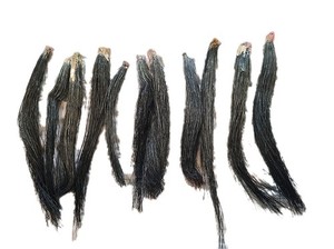 11 Fat Wild Turkey Beards Taxidermy Bird Crafts 6-9" #5