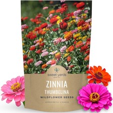 Zinnia Thumbelina Mix - Bulk 2 Ounce Pouch - 10,000 Flower Seeds for Planting... 309.12 per gallon