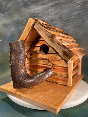 Rustic bird house with real branch perch handmade and crafted by The would knot