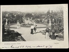 Pre 1905 Sydney Printed Star Photo Co. P.Card Of Sydney Botanical Gardens