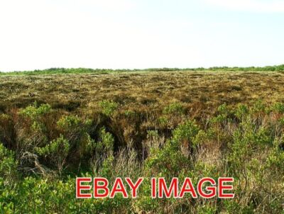 FOTO TEIL VON BOWNESS COMMON DIE GEMEINSAMEN FORME TEIL DER SOUTH SOLWAY MOOSE