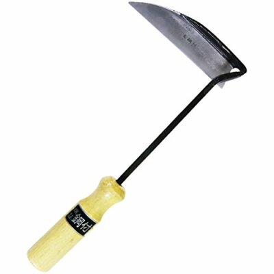 ✴︎Hassaku＊ Tsukasabotan 