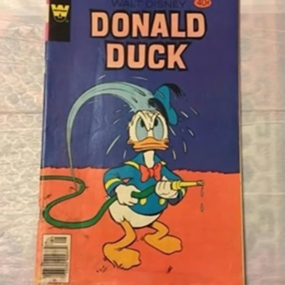 Walt Disney s Donald Duck #207 G-VG 1979