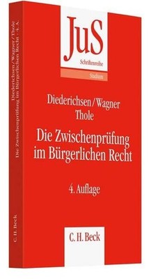 Christoph Thole Die Zwischenprüfung im Bürgerlichen Rech (Paperback) (UK IMPORT)