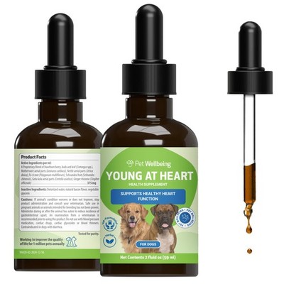Pet Wellbeing Young at Heart for Dogs - Senior Health Support, 2 fl oz