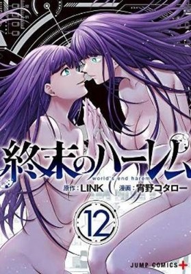 Link World's End Harem Vol. 12 (Taschenbuch) World's End Harem