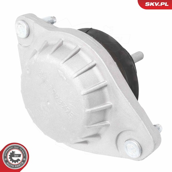 Esen SKV Lagerung, Motor 75SKV224 FüR Audi-image