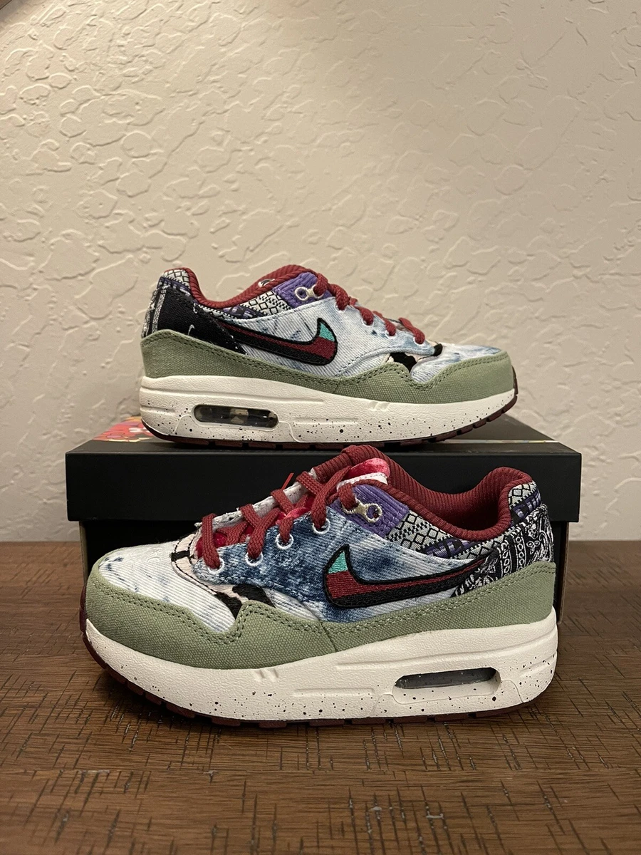 Nike Air Max 1 SP Concepts Mellow