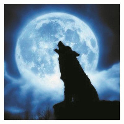 Howling Wolf Luminous Diy 3d Wall Sticker Glow In The Dark Home Room Decal Decor Ebay
