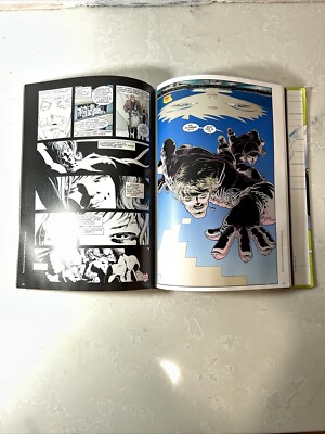 Graphic Ink The DC Comic Art Of Frank Quitely Hardcover | eBay