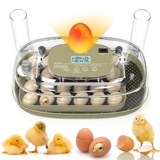 24 Eggs Incubator with Automatic Egg Turning, Temperature  Humidity Control,...