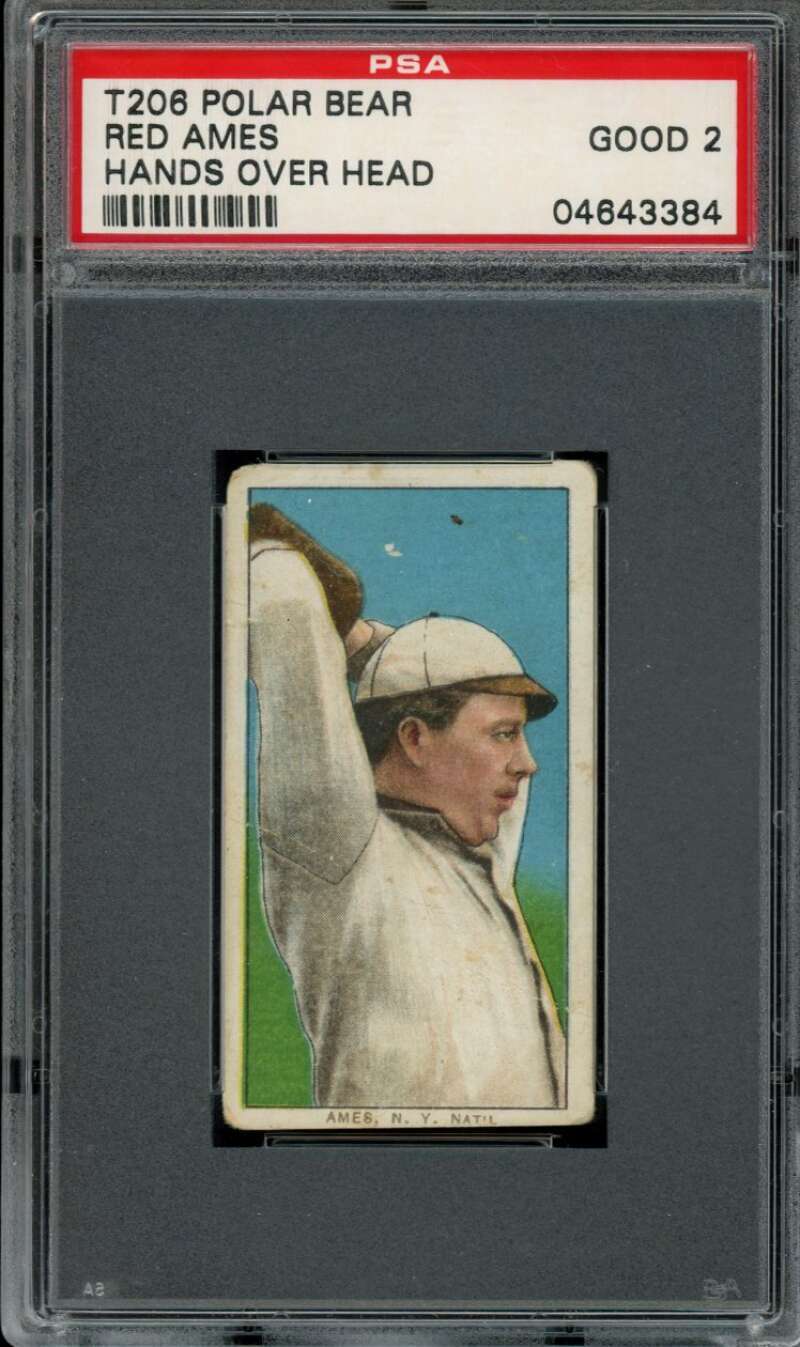 1909-11 T206 #8 Red Ames Polar Bear PSA 2 Hands Above Head  (3384)