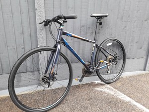 schwinn super sport 2