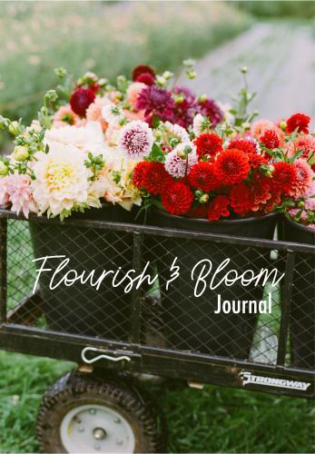 Flourish and Bloom Journal : A Cute Notebook of Buds, Blossoms, and Petals by...