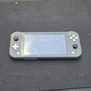 Switch Lite Grey | eBay