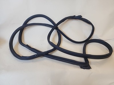 2011-2023 DODGE CHARGER FRONT RIGHT PASSENGER SIDE DOOR SEAL WEATHERSTRIP OEM