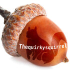 thequirkysquirrel