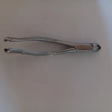 Vantage #69 Stainless Steel Universal  Root Extraction Forceps- Must-Have!