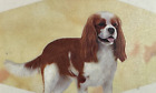 New ListingCavalier King Charles Spaniel Dog Lover's Face Mask Double Stitch Triple Filter