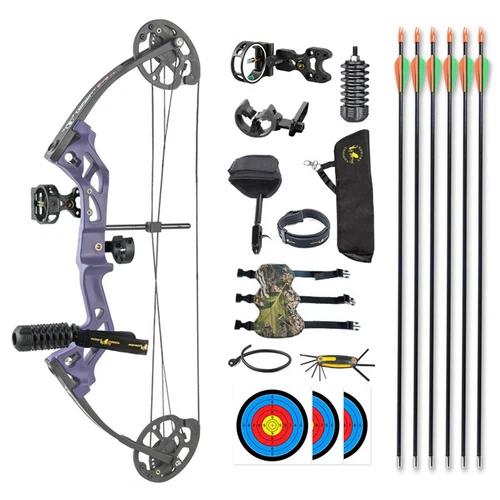 Junior 10-30LBS Compound Bow and Arrows Set Archery Target Right Hand Youth Kids - Picture 21 of 26