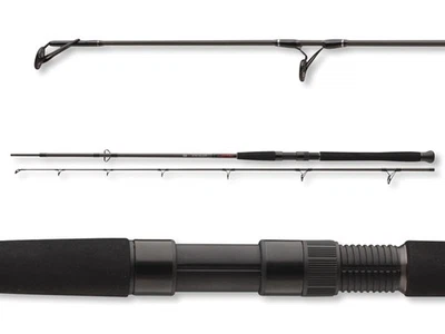 Daiwa Exceler CF Spin 2,70m / bis 135g Welsrute Spinnrute Wallerspinnrute - Bild 1 von 2