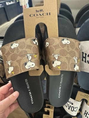 NWT Coach X Peanuts Woman Udele Sport Slide Signature With Snoopy Print CBM96 9B