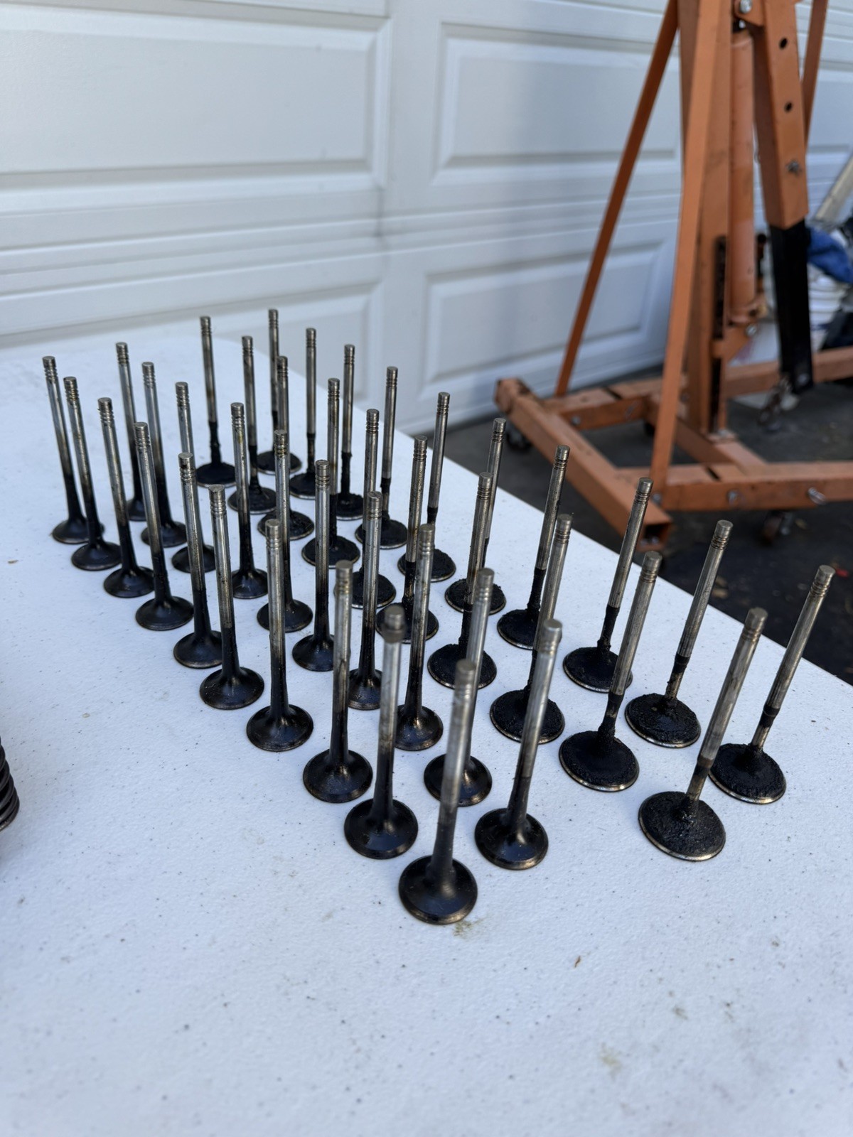 Lamborghini Engine Intake and Exhaust valves 