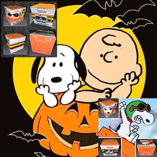 Funko Pop Peanuts Halloween Charlie Brown und Snoopy Keramiktasse SET Pop! Home