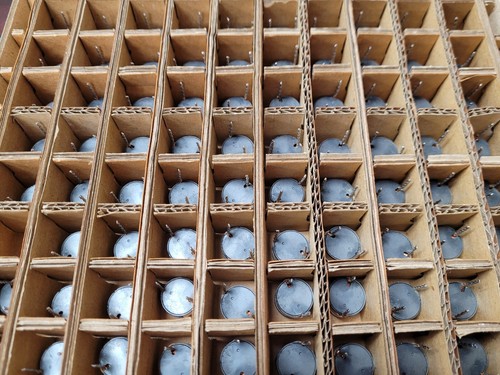 (10 PCS) US3104-000 SUMIDA MC DRUM 150uH 10% INDUCTOR - Picture 6 of 6