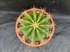 Foto 16 di 24