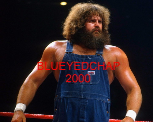 HILLBILLY JIM WRESTLER 8 X 10 WRESTLING PHOTO WWF | eBay