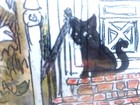 Bild 7 von 8
