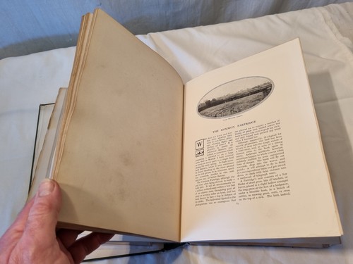 Keaton's Nature Pictures with text by Keaton Pub 1910 1st Edit Cassell & Co Ltd - Imagen 13 de 13