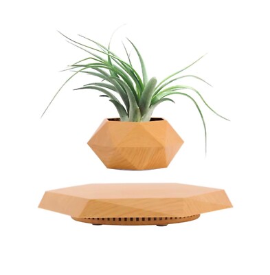 Levitating Planter Pot  Floating Plant Pot for Small Plant Levitating Pot Decor