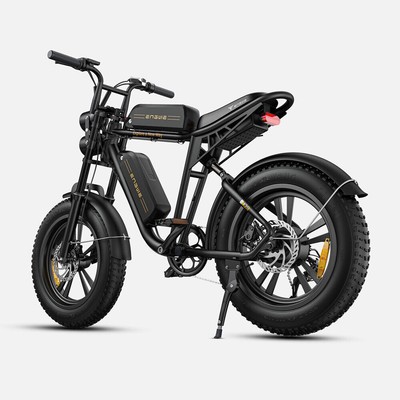 ENGWE M20 20 Zoll E-Bike Elektrofahrrad 750W E-Mountainbike Fat Bike 26Ah 45km/h