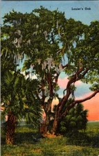 Macon Georgia GA : NATURE SCENE d/13 BB0167