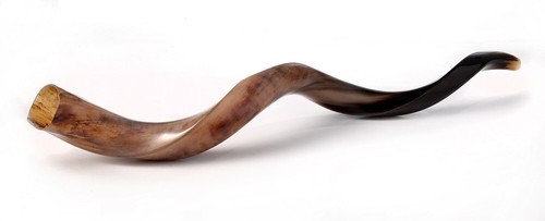 SHOFAR Full Polish Kosher Kudu Horn 35''-39" - (89-99cm) + Bag + Guide + Spray - Picture 10 of 22