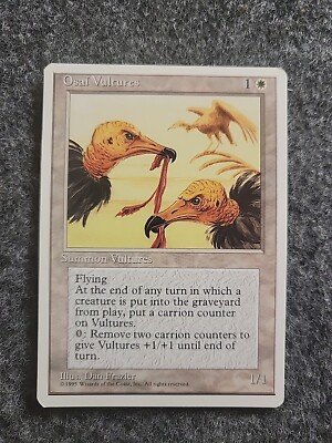 Osai Vultures Fourth Edition Regular