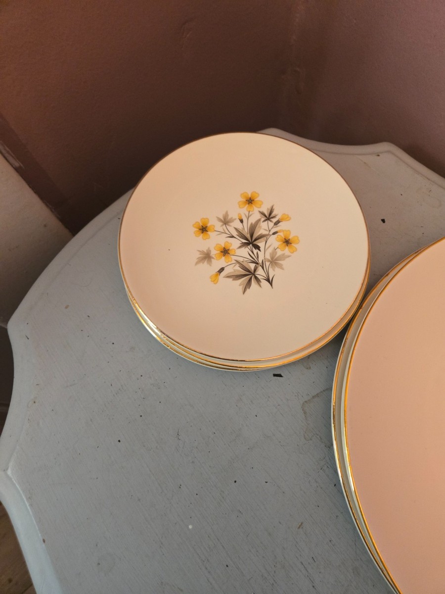 Dinner Set For 4 of vintage 1950s Edwin Knowles Sun Light pattern