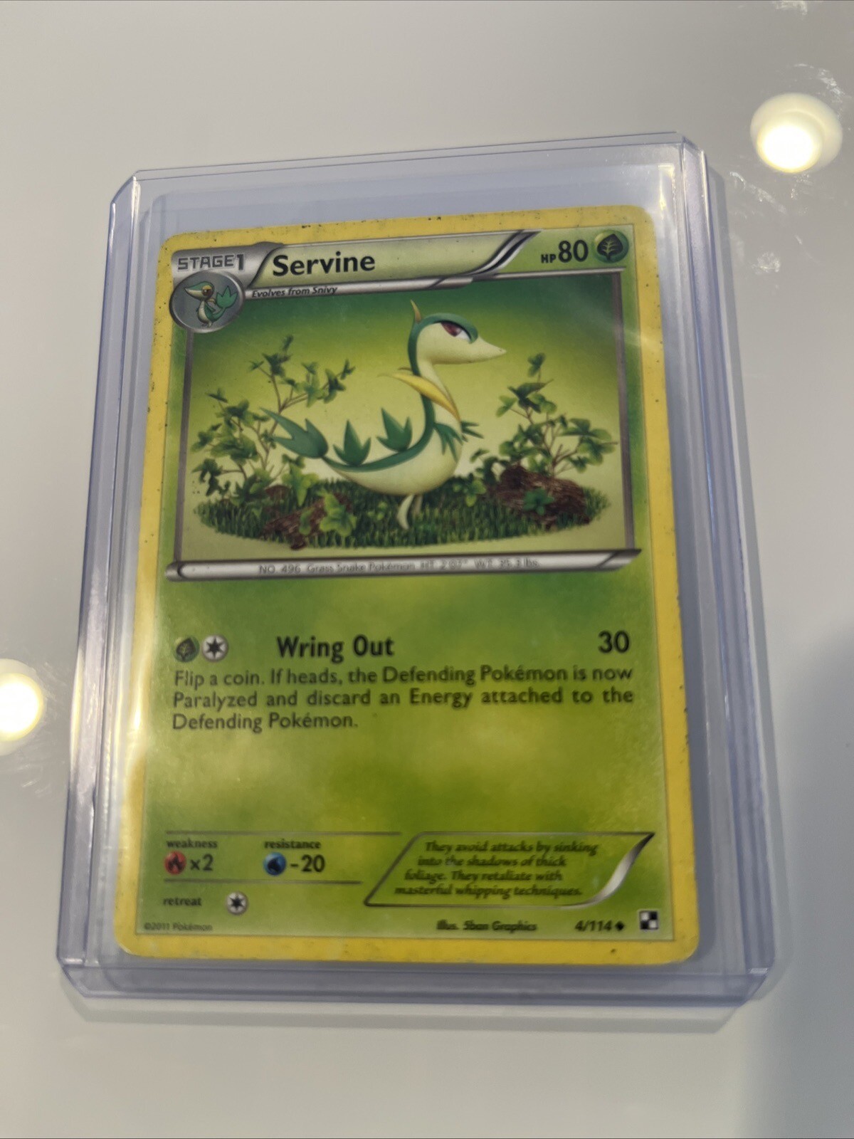 Servine 4/114 Black & White Base Set Vintage 2011 Pokemon Cards TCG Near Mint